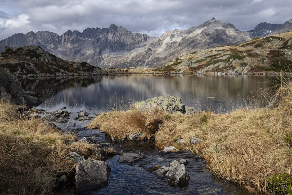 Le calme des eaux du lac de Pétarel entouré de nature