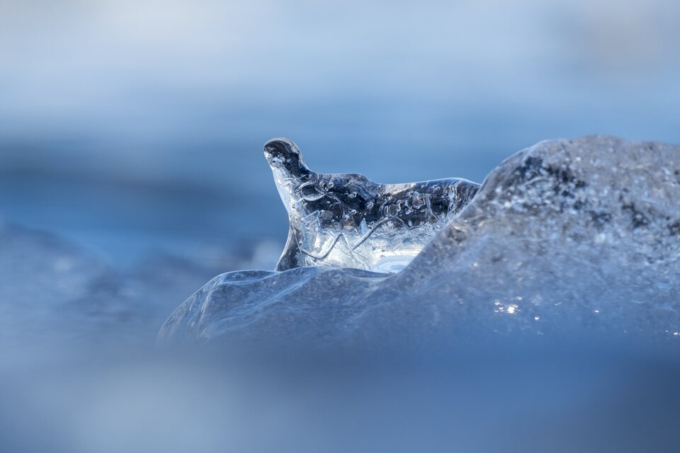 Le dragon de glace du Jökulsárlón