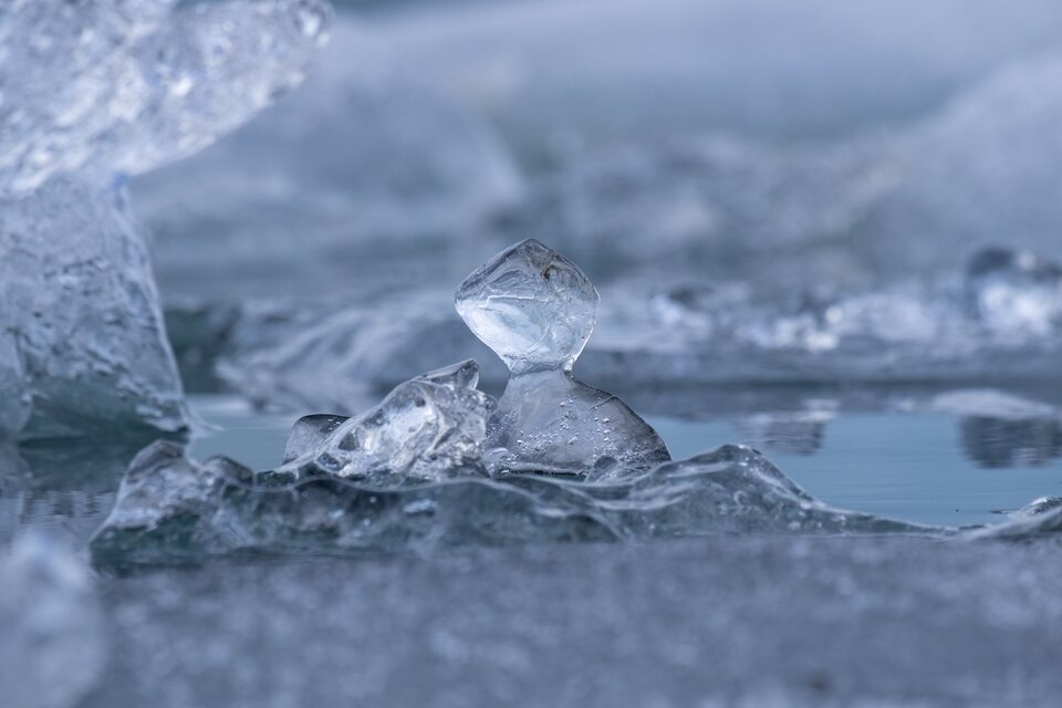 Le lézard de glace du Jökulsárlón