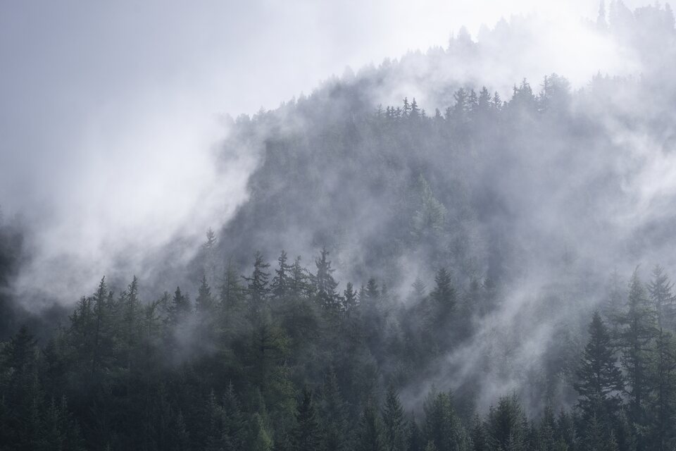 La symphonie de la forêt et des nuages à Valfréjus