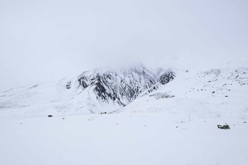 Le contraste des roches sombres dans un océan de neige blanche